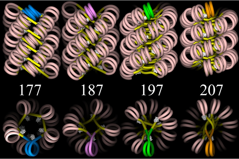 Idealized, higher-order chromatin structure.